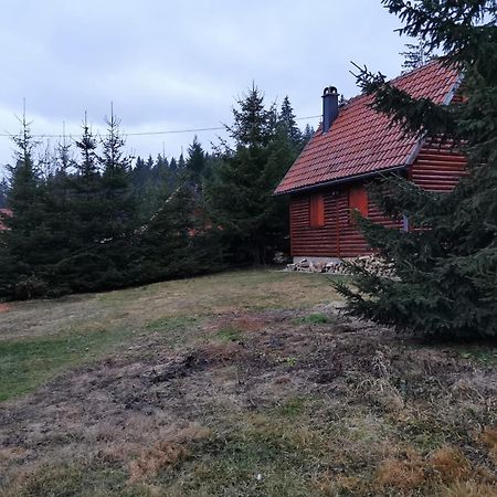 Vila Tijana Mitrovac Exterior foto
