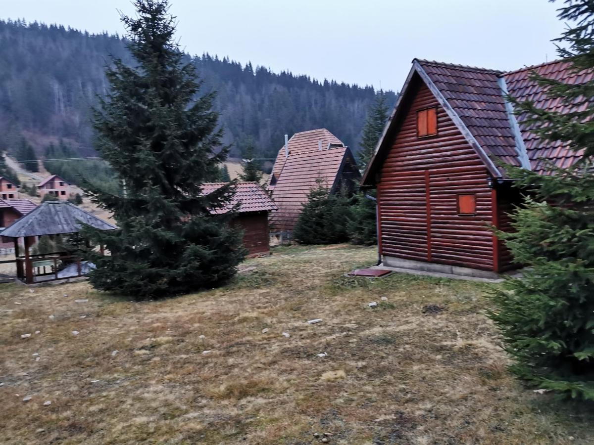 Vila Tijana Mitrovac Exterior foto